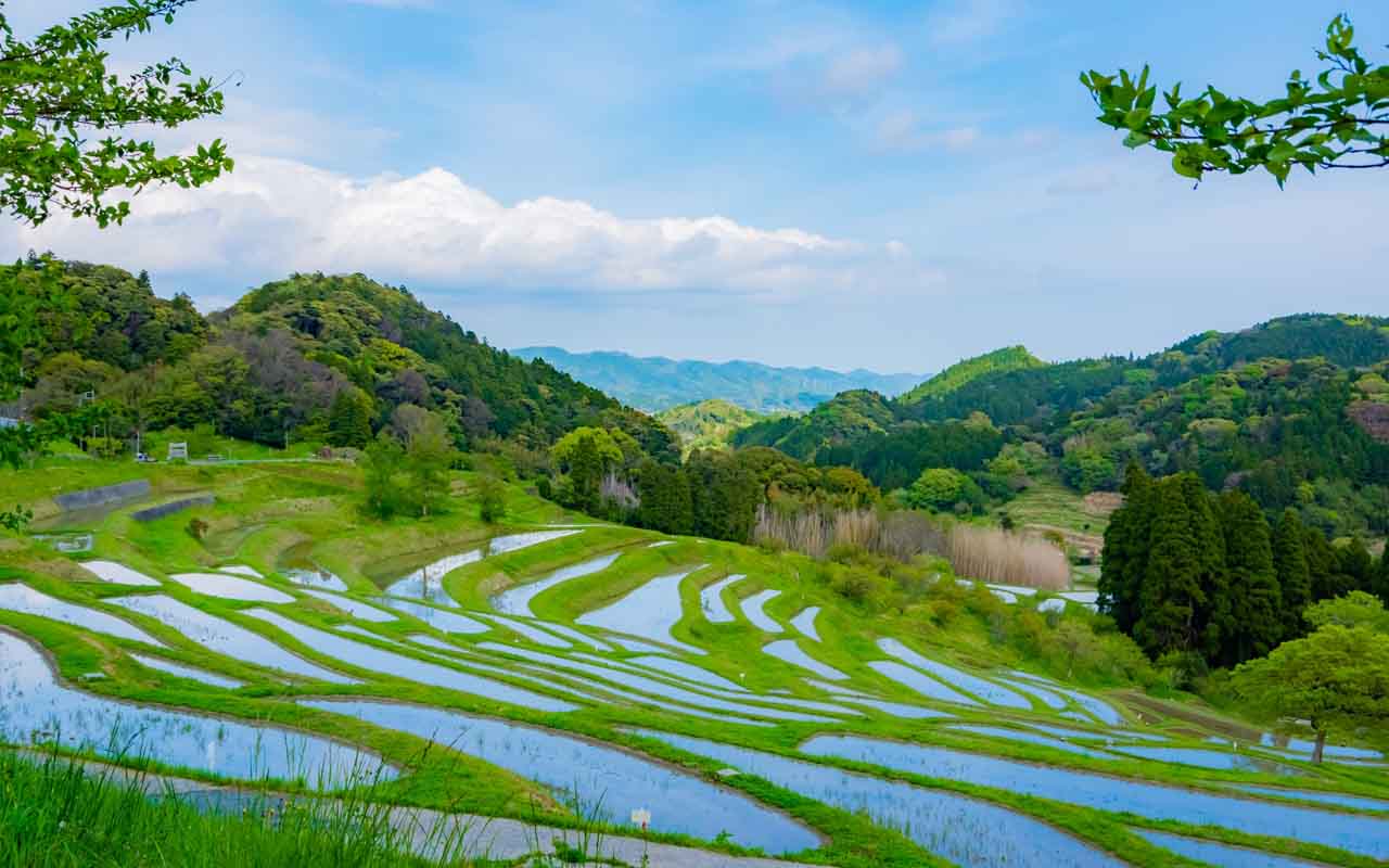 棚田の風景と水資源の役割